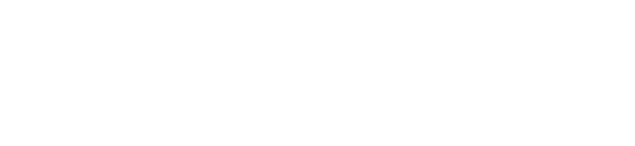 Shelter Boy logo